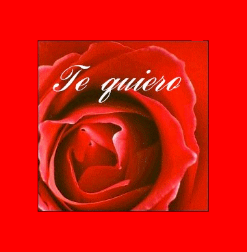 jtm en toute les lengue